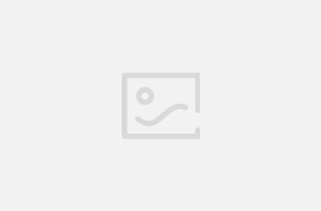 AniPortrait