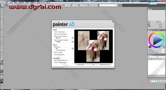 Corel Painter X3安装教程