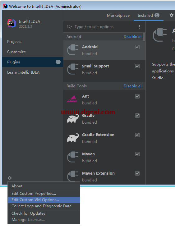IntelliJ IDEA 2021.1.3旗舰版【Java编程工具】汉化版安装教程