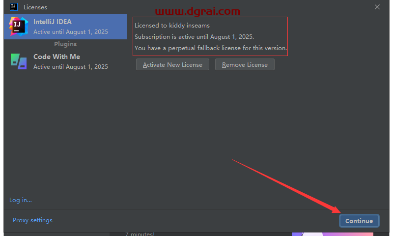 IntelliJ IDEA 2022.2安装包下载与安装教程