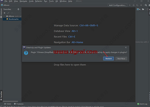 JetBrains DataGrip 2021.1【datagrip 2021】汉化版下载与安装教程